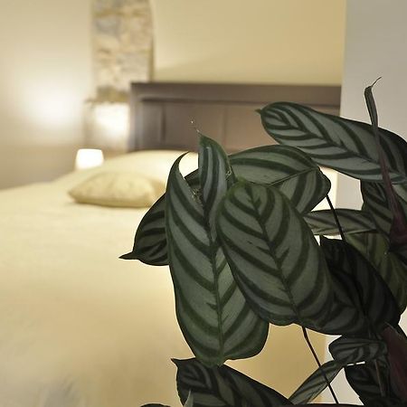 斯普利特 斯塔尼亚旅馆酒店 外观 照片